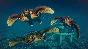 ✅Jurassic World Evolution 2: Prehistoric Marine Species