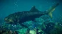 ✅Jurassic World Evolution 2: Prehistoric Marine Species