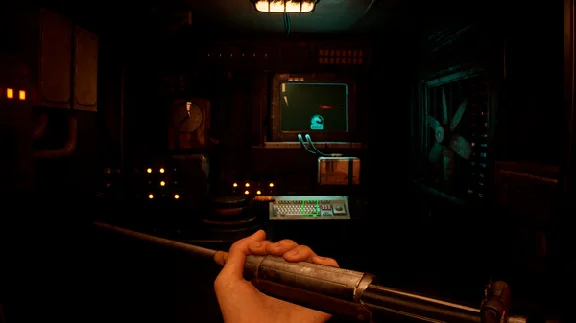⚡️Zoochosis | АВТОДОСТАВКА [Россия Steam Gift]