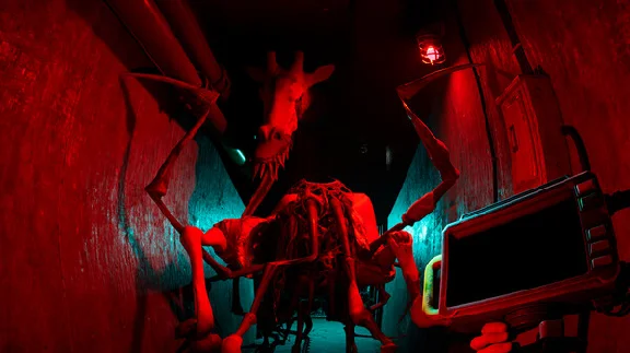 ⚡️Zoochosis | АВТОДОСТАВКА [Россия Steam Gift]