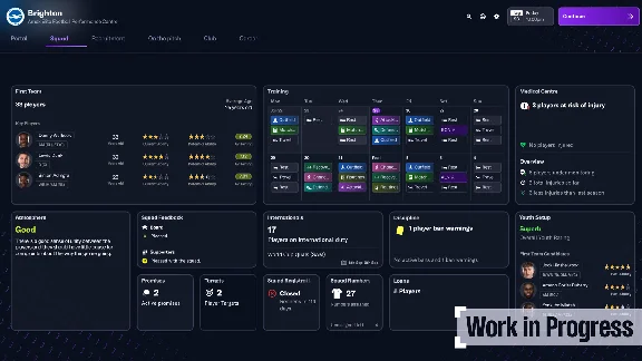 Football Manager 25 * RU/KZ/СНГ/TR/AR * STEAM 🚀 АВТО