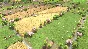 🚀 Global Farmer 🤖 Steam Gift РФ + другие ⚡ АВТО