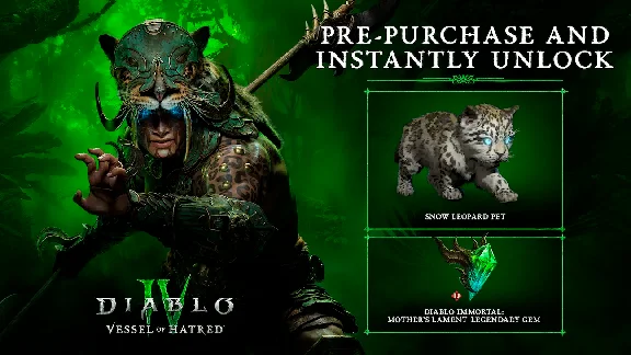 😈🟥DIABLO IV: VESSEL OF HATRED🟥😈 BATTLE.NET |🚀 FAST