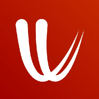 Windy Premium 12 месяцев до Вашего аккаунта