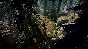 ⚡V Rising  / STEAM GLOBAL KEY⚡