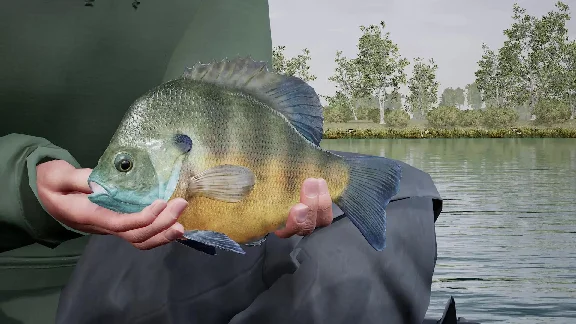 (DLC) Fishing Sim World: Pro Tour – Lake Williams KEY🔑