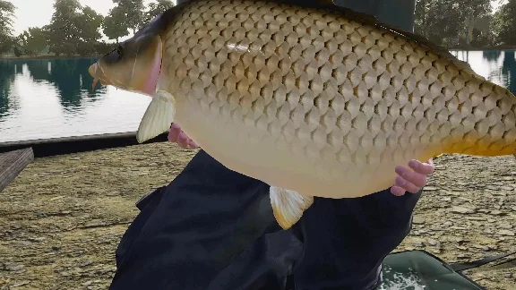(DLC) Fishing Sim World: Pro Tour - Gigantica Road Lake