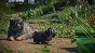 ⚡️Planet Zoo: Zookeepers Animal Pack| АВТО RU Steam
