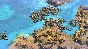 Age of Empires II: DE - Chronicles: Battle for Greece⚡️