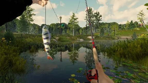 🔥Fishing Adventure\Steam\Весь Мир + РФ\Ключ