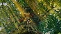 ✅Smalland: Survive the Wilds ⭐Steam\RegionFree\Key⭐+🎁