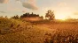 Red Dead Redemption 2 🔵AUTO 🚀 STEAM