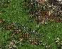 ✅American Conquest Fight Back⭐Steam\RegionFree*\Key⭐+🎁