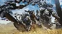 NOW Monster Hunter Wilds Xbox Series X|S KEY 🔑