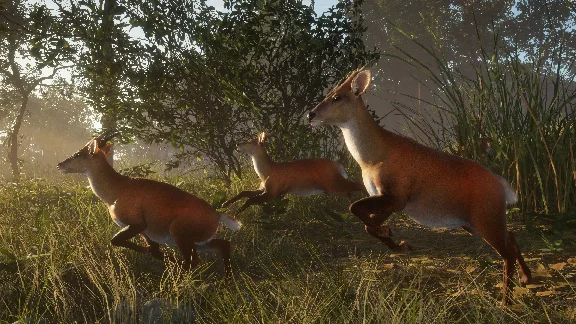 THEHUNTER: CALL OF THE WILD™ - SUNDARPATAN NEPAL HUNTIN