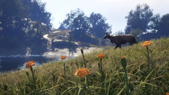 THEHUNTER: CALL OF THE WILD™ - SUNDARPATAN NEPAL HUNTIN
