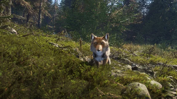THEHUNTER: CALL OF THE WILD™ - SUNDARPATAN NEPAL HUNTIN