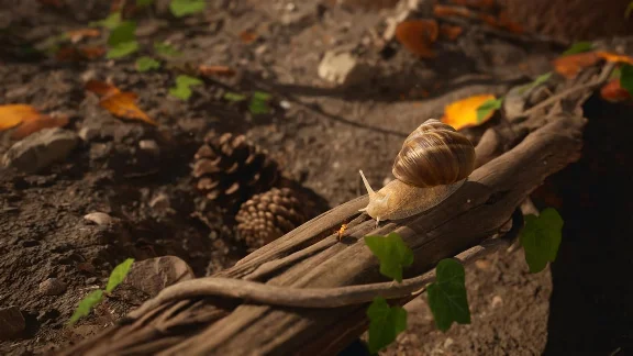 Empire of the Ants Xbox Series X|S