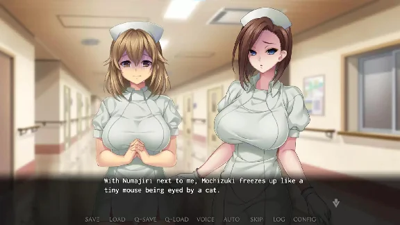 Nope Nope Nope Nurses STEAM KEY🔑 ALL COUNTRIES
