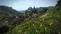 RU+CIS | Kingdom Come: Deliverance | STEAM KEY