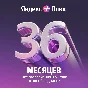 🔥 ПРОМОКОД Яндекс Плюс Мульти на 36 месяцев🔥💳0%