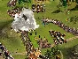 ✅Cossacks 2 Napoleonic Wars Казаки ⚫STEAM🔑KEY🌎GLOBAL*