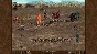 ✅Heroes of Might & Magic III HD Edition (Steam Key)💳0%