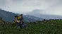 ☑️⭐DEATH STRANDING DIRECTOR´S CUT XBOX⭐Buy it u⭐☑️.