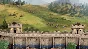 Age of Empires IV: Anniversary Edition STEAM•RU