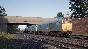 (DLC) Train Sim World® 2: BR Class 31 Loco Add-On KEY🔑