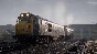 (DLC) Train Sim World® 2: BR Class 31 Loco Add-On KEY🔑