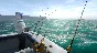 ✅ Fishing Planet Steam new account + CHANGE MAIL