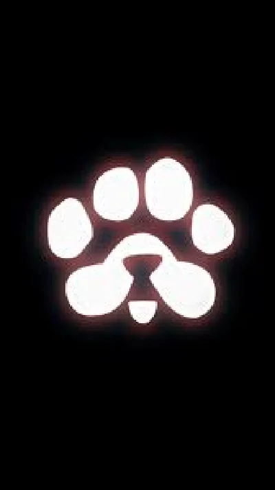 🐾PAWS🐾Рефералы @PAWSOG_bot