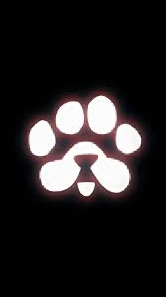 🐾PAWS🐾Рефералы @PAWSOG_bot