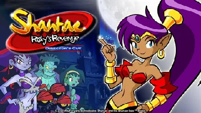 🎮Shantae: Risky´s Revenge Director´s Cut XBOX/WIN🔑Key