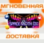 🔥Space Moth DX\Steam\Worldwide + RU\Key