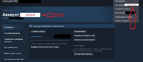 ⚫Steam Russia Replenishment⚫