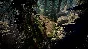 RU+CIS | V Rising | STEAM KEY