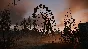 🎮⛔S.T.A.L.K.E.R. 2 HEART OF CHORNOBYL XBOX X|S🔑КЛЮЧ🔥