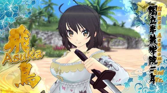 ✅💙SENRAN KAGURA ESTIVAL VERSUS - SPLASH PACK💙STEAM