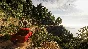 ⚡STEAM KEY⚡Test Drive Unlimited Solar Crown ⚡RU/CIS