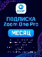 Zoom One Pro Monthly Subscription