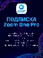 Zoom One Pro Annual Subscription