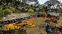🚀 Gold Mining Simulator - Orange Beast 🤖 Steam Gift