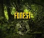 🌈 The Forest 💥 Steam Ключ 🎀 Весь мир