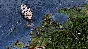 ✅ EUROPA UNIVERSALIS IV  - STEAM КЛЮЧ 🔑 РФ + СНГ + ТУР