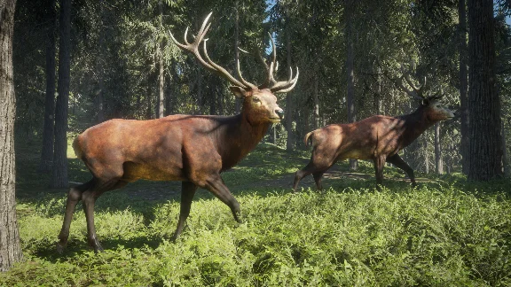 theHunter: Call of the Wild Steam Gift RU UA KZ BY CIS
