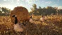 theHunter: Call of the Wild Steam Gift RU UA KZ BY CIS