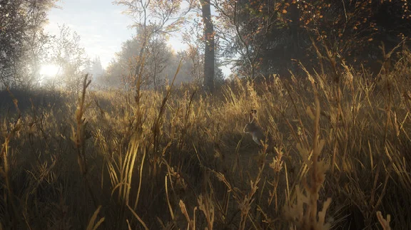 ⚡theHunter: Call of the Wild|АВТОДОСТАВКА RU Steam Gift