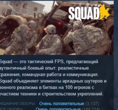 Squad 💎 АВТОДОСТАВКА STEAM РОССИЯ
